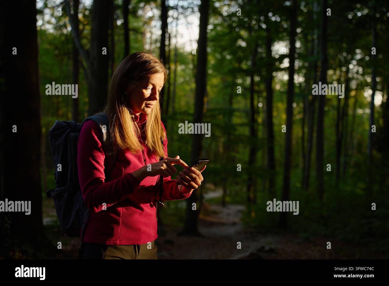Frau mit Rucksack, die Smartphone nutzt, während sie im Wald wandert. Wanderin, die auf einem Waldweg das Telefon überprüft. GPS-Navigation, Wanderwege und Outdoor-Reisen. Stockfoto
