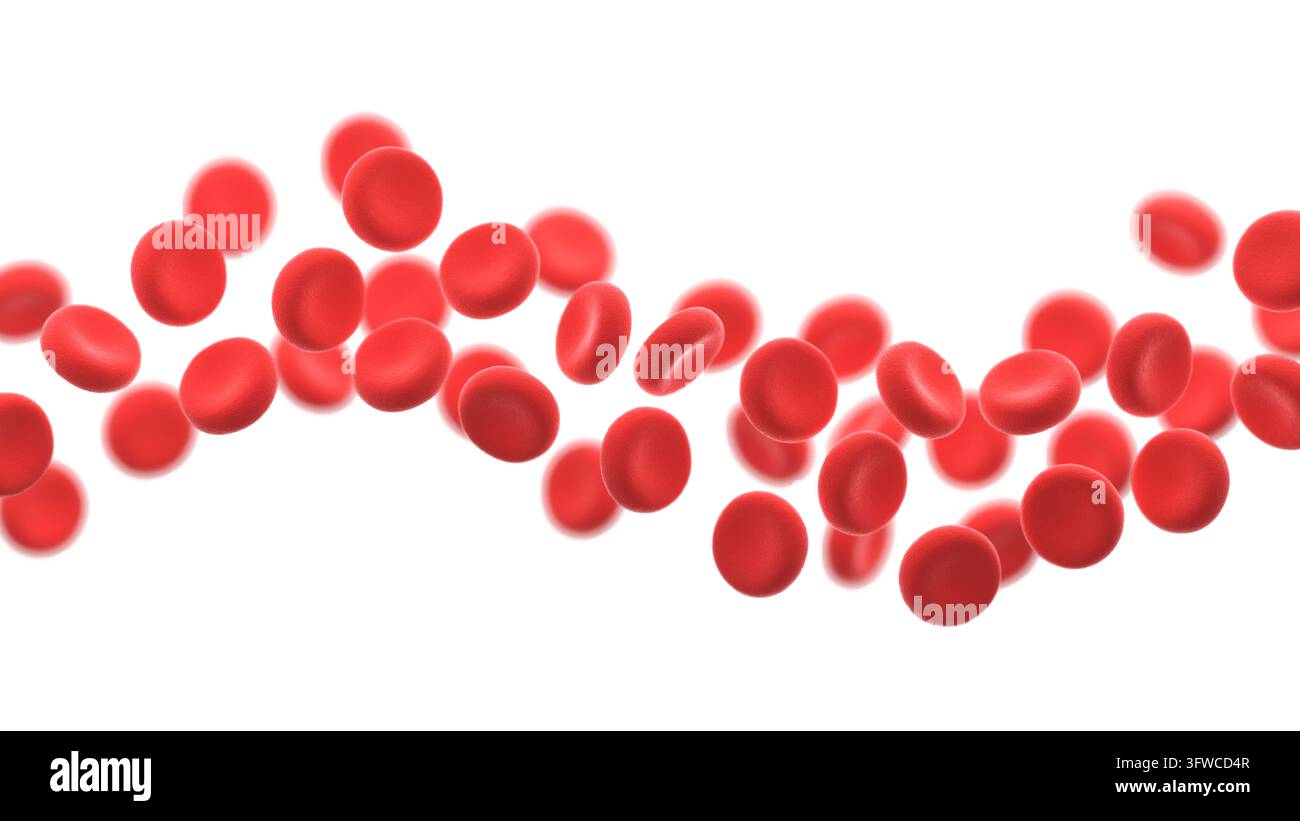 Rote Blutkörperchen auf weißem Hintergrund. 3D-Illustration. Stockfoto