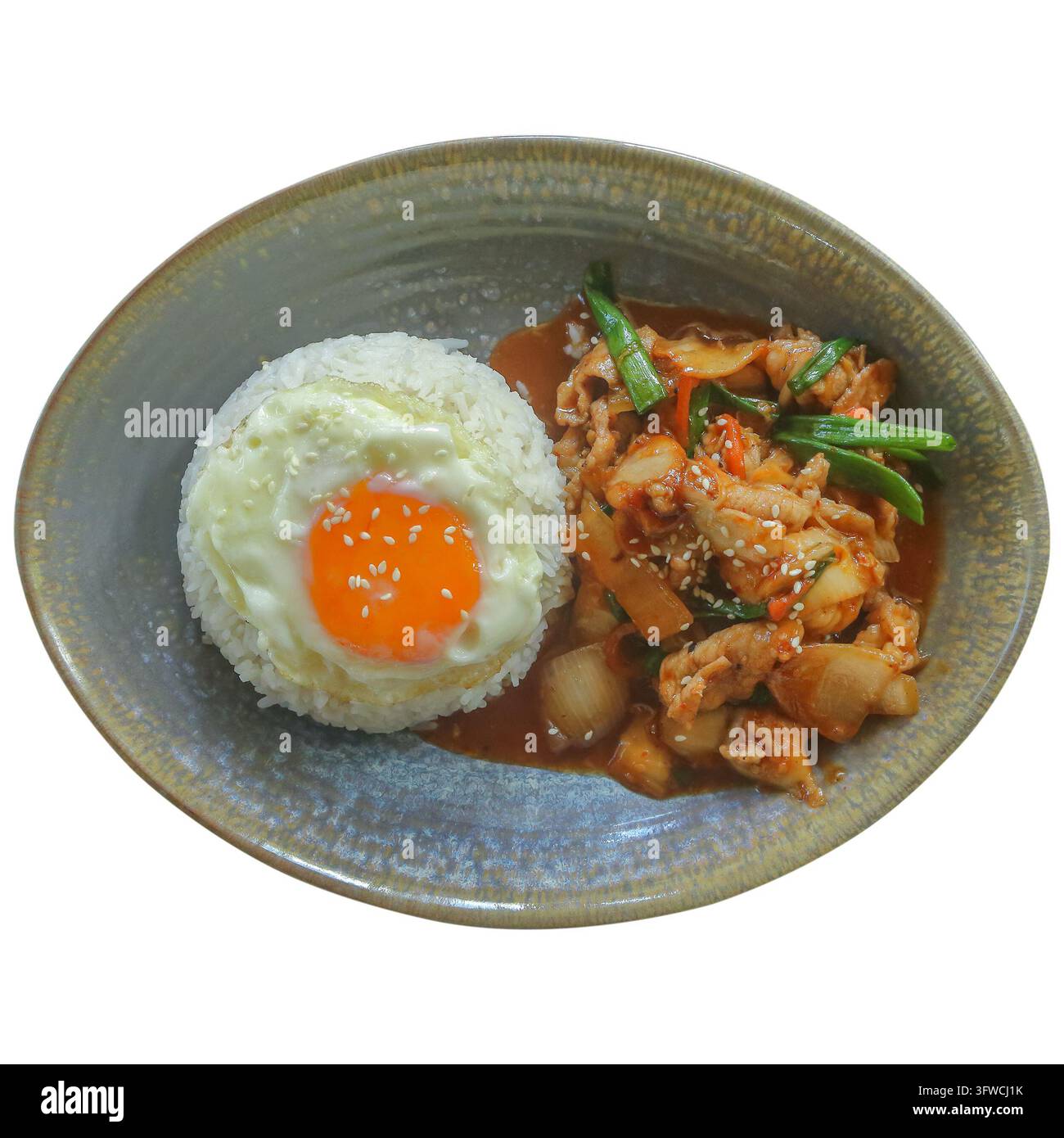 Gebratenes Schweinefleisch mit Austernsauce und gedämpftem Reis, Ei oben und Sesam Stockfoto
