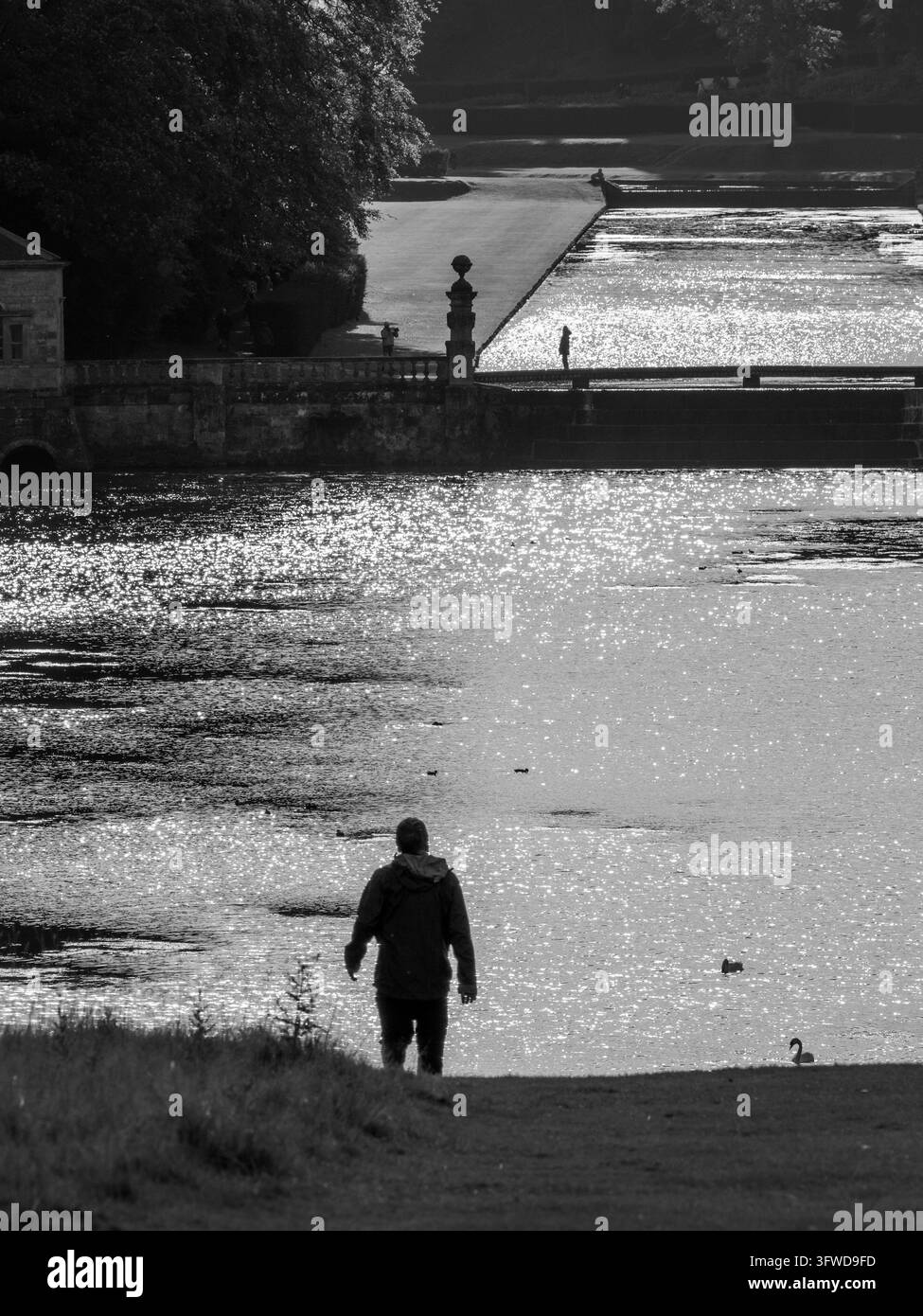 Das Sonnenlicht verwandelt den Studley See in ein Feld von Glitzern, während ein Spaziergänger vom Parkland in Studley Royal, Ripon, herabschlendert. Stockfoto