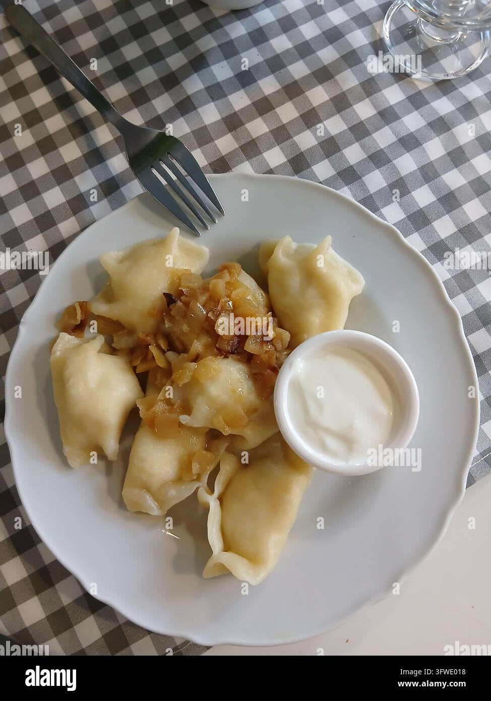 Eine detaillierte Ansicht von oben traditionelle osteuropäische Vareniki mit goldenen Zwiebeln und Sauce auf einer karierten Tischdecke. - Smartphone-aufgenommenes Stockfoto