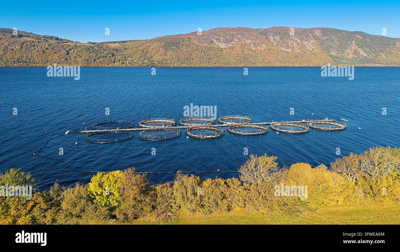 Blick auf den Loch Ness in Schottland im Herbst mit Lachskäfigen in der Nähe des Dorfes Dores Stockfoto