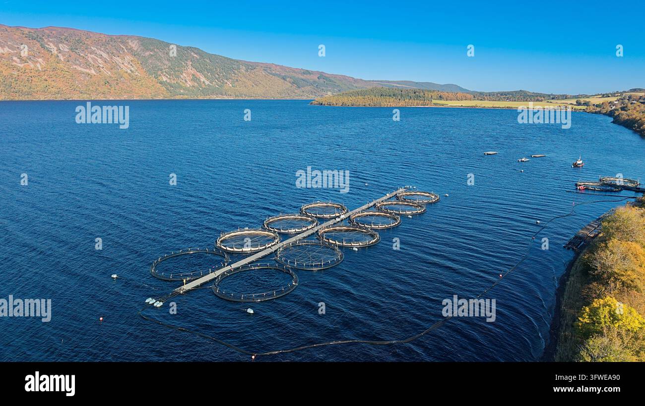 Blick auf Loch Ness in Schottland im Herbst mit Lachskäfigen oder schwimmenden Netzkäfigen in der Nähe von Dores Village Stockfoto
