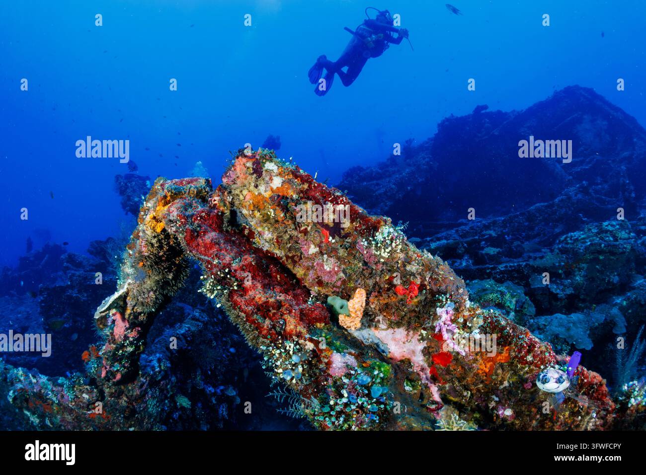 Taucher schwimmt über einen korallenbesetzten Balken des USAT Liberty-Wracks in Tulamben, Bali, lebhafte Schwämme klammern sich an die abgenutzte Metallstruktur Stockfoto