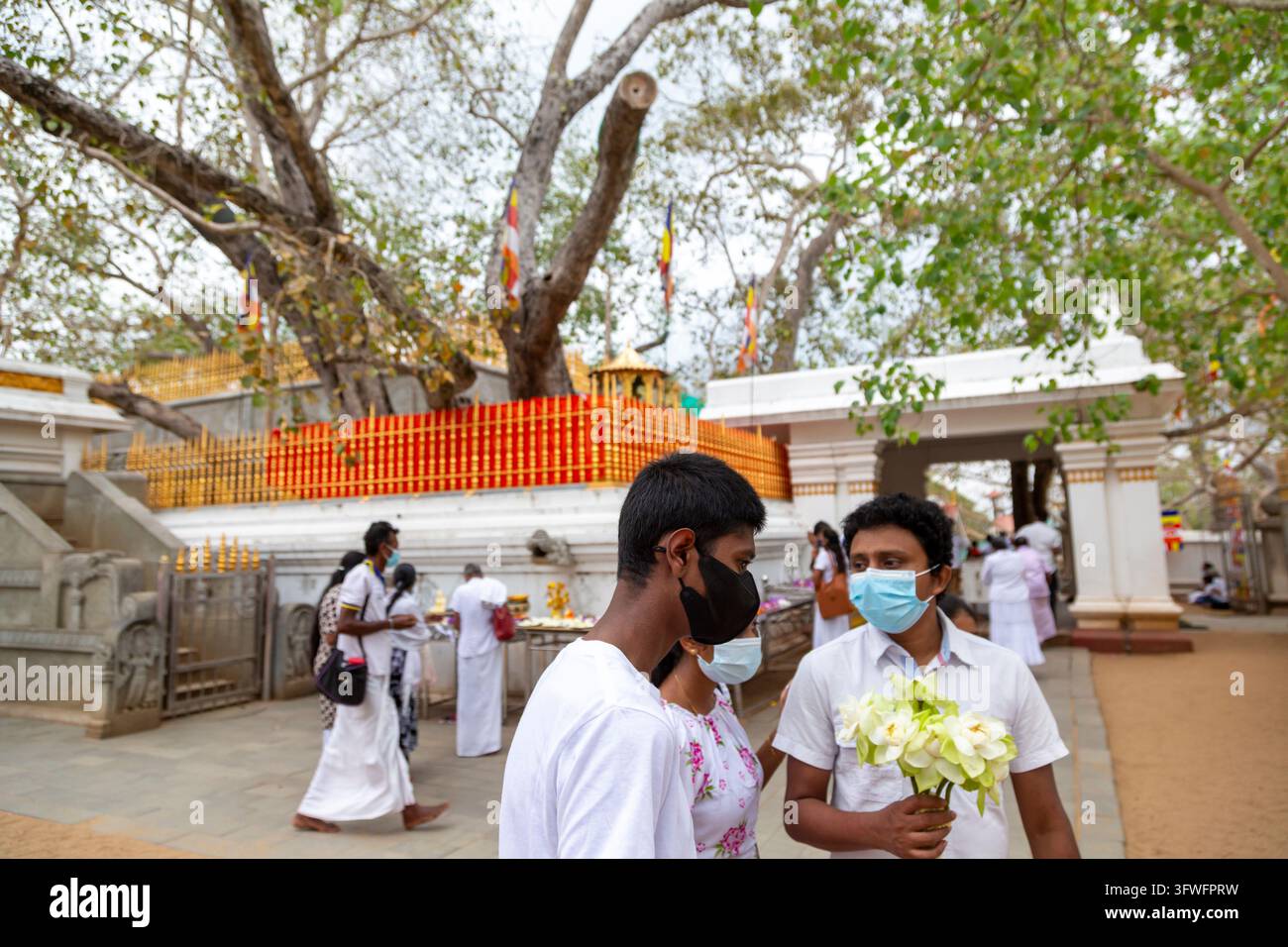 Junge Pilger in Weiß mit Masken und Blumen am Ruwanwelisaya, Nord-Zentral-Provinz, Anuradhapura, Sri Lanka Stockfoto