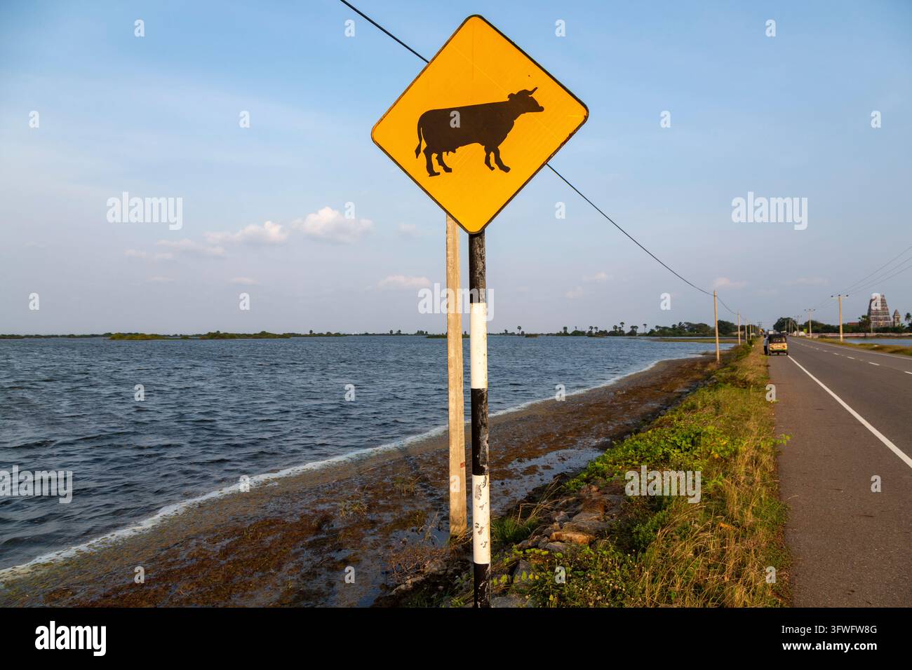 Viehüberquerungsstraße-Schild neben einer Dammstraße entlang des Meeres, Nordprovinz, Delft-Insel, Sri Lanka Stockfoto