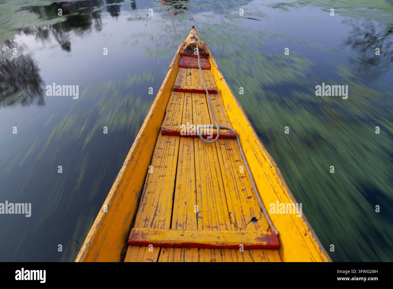 Gelbe Schleife eines Shikara-Bootes, das schnell über den See gleitet, Jammu und Kashmir, Srinagar, Indien Stockfoto