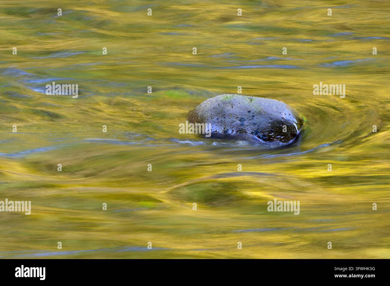 Herbstreflexionen im North Fork Middle Fork Willamette River, Kaskadenkette, Oregon. Stockfoto