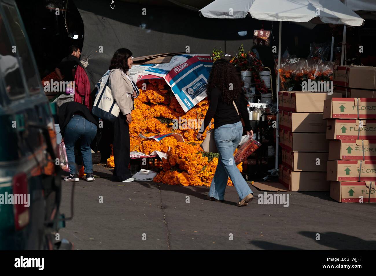 Mexiko-Stadt, Cdmx, Mexiko. 19. Okt., 2026. In Fortführung einer Tradition, die seit prähispanischer Zeit über Generationen weitergegeben wurde, hat der Verkauf von Cempasuchil (Goldblume) im ganzen Land begonnen. In Mexiko-Stadt ist einer der beliebtesten Orte zum Kauf dieser Blüten der Mercado Jamaica, wo Scharen von Menschen auf der Suche nach den besten Preisen und den schönsten, duftenden Cempasuchil-Blumen eintreffen. Abgeleitet vom Nahuatl-Wort "Cempohualxochitl", was "Blume mit zwanzig Blütenblättern" bedeutet, wird diese lebhafte orangefarbene, stark duftende Blüte seit prähispanischer Zeit verwendet Stockfoto