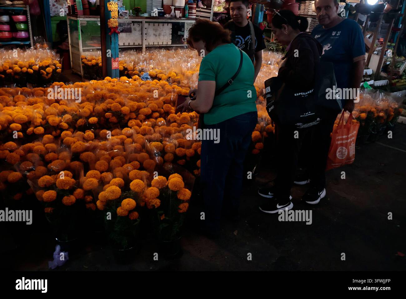 Mexiko-Stadt, Cdmx, Mexiko. 19. Okt., 2026. In Fortführung einer Tradition, die seit prähispanischer Zeit über Generationen weitergegeben wurde, hat der Verkauf von Cempasuchil (Goldblume) im ganzen Land begonnen. In Mexiko-Stadt ist einer der beliebtesten Orte zum Kauf dieser Blüten der Mercado Jamaica, wo Scharen von Menschen auf der Suche nach den besten Preisen und den schönsten, duftenden Cempasuchil-Blumen eintreffen. Abgeleitet vom Nahuatl-Wort "Cempohualxochitl", was "Blume mit zwanzig Blütenblättern" bedeutet, wird diese lebhafte orangefarbene, stark duftende Blüte seit prähispanischer Zeit verwendet Stockfoto