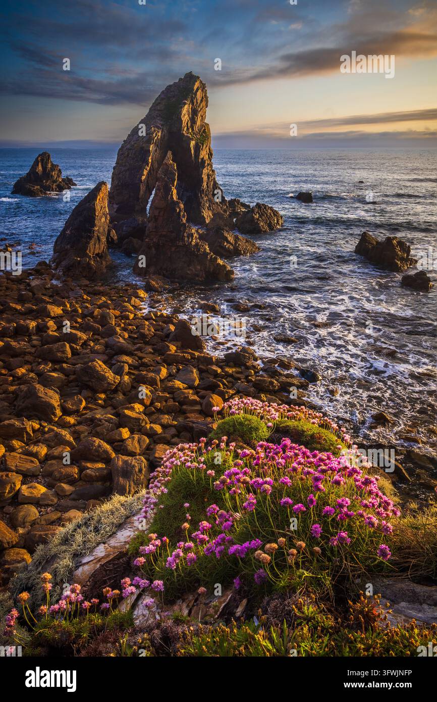 Crohy Head ist eine raue und malerische Halbinsel an der Mullaghmullan-Küste nahe Dungloe in der Grafschaft Donegal, Irland. Stockfoto