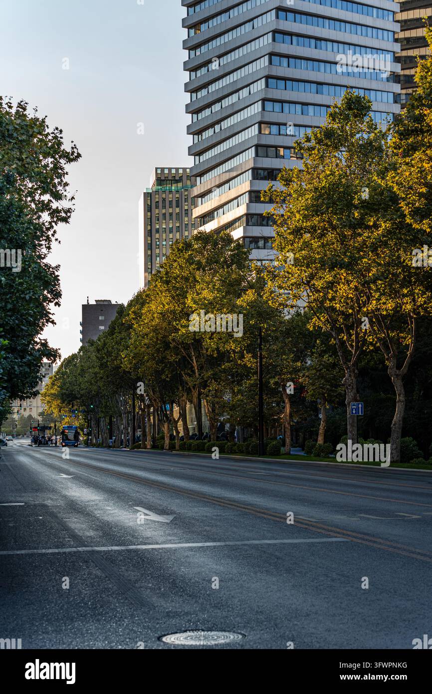 Ruhige Innenstadtstraße in Tiflis, Georgien, gesäumt von Herbstbäumen und modernen Hochhaustürmen, beleuchtet von warmem Spätnachmittagssonnenlicht unter einem Stockfoto