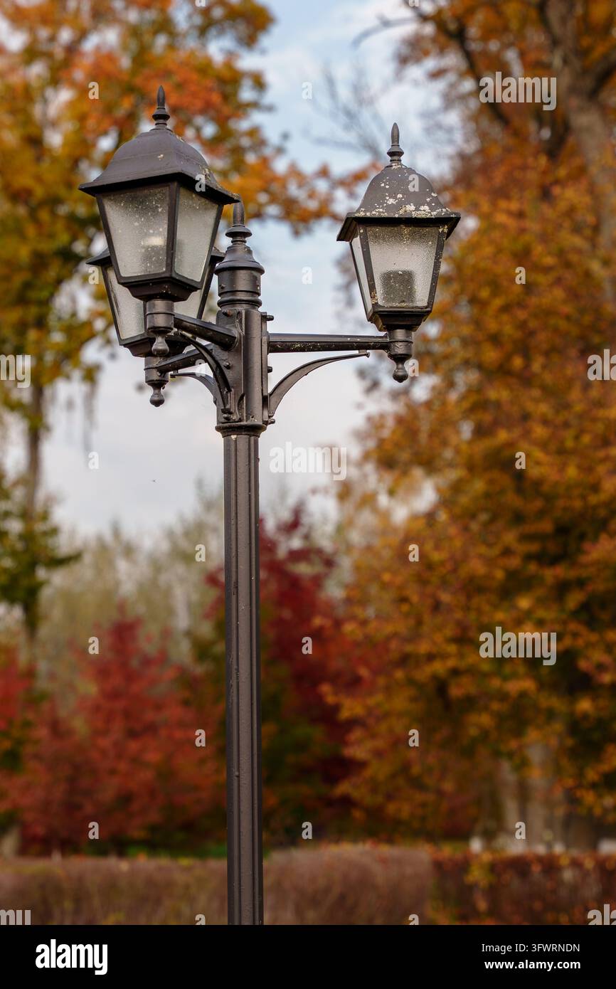 Vintage-Laterne steht im öffentlichen Park im Herbst. Kommunale städtische Beleuchtung, Landschaftsarchitektur-Design, Freizeit im Außenpark Stockfoto