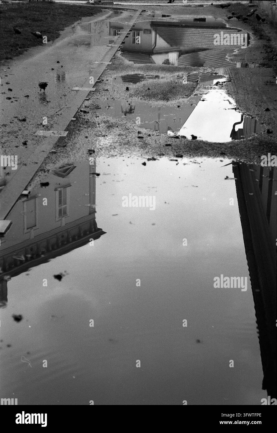 Reflexionen in Pfützen, Prag. Analogfotografie-Fotografie, 2026. Stockfoto