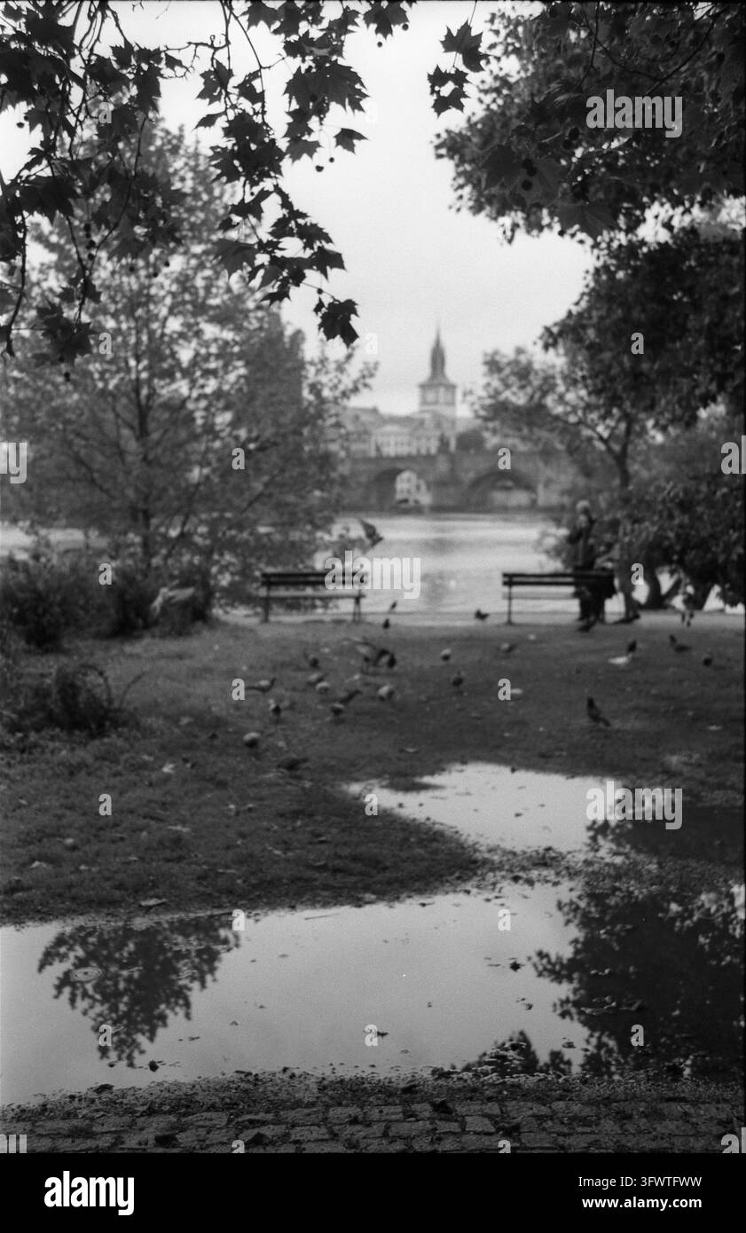 Blick auf die Moldau, Prag. Analogfotografie-Foto, 2026. Stockfoto