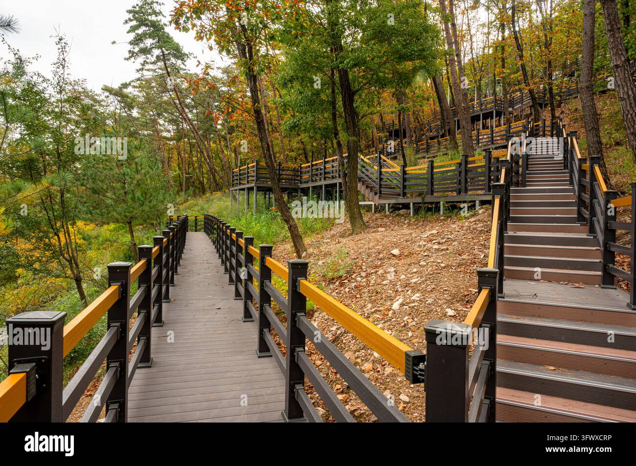 Holztreppe und Weg auf einer Außenterrasse im Songnisan-Nationalpark in Boeun, Korea. Stockfoto