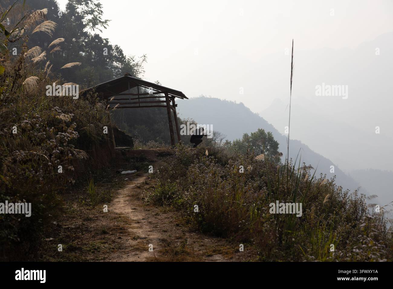 Ha Giang, Vietnam - 13. Januar 2026: Eine Person, die in der Nähe eines rustikalen Unterstandes entlang eines Feldweges, der von Vegetation umgeben ist, mit nebligen Bergen... Stockfoto