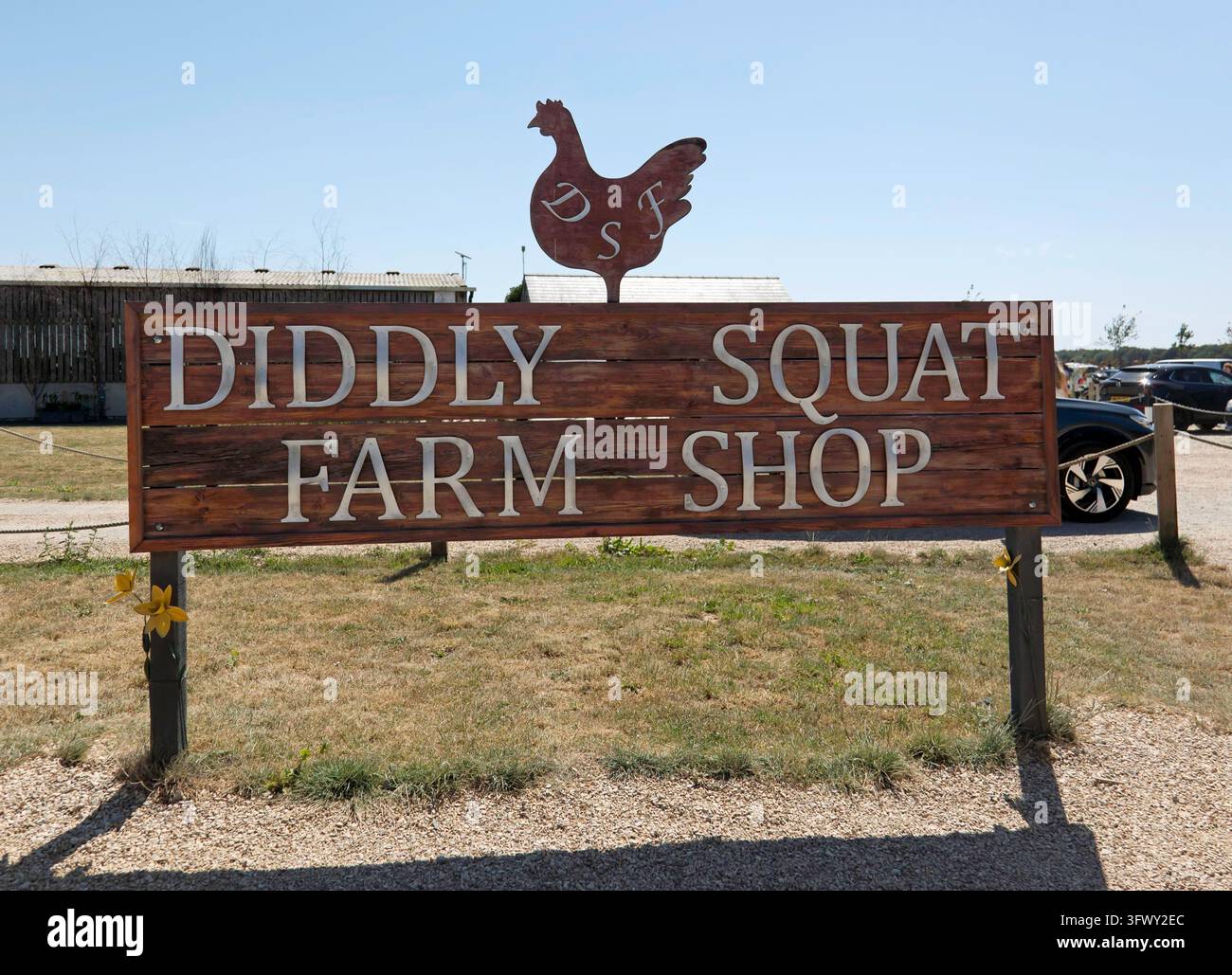 Nahaufnahme des Diddly Squat Farm Shop Schilds, Chipping Norton, West Oxfordshire. Stockfoto