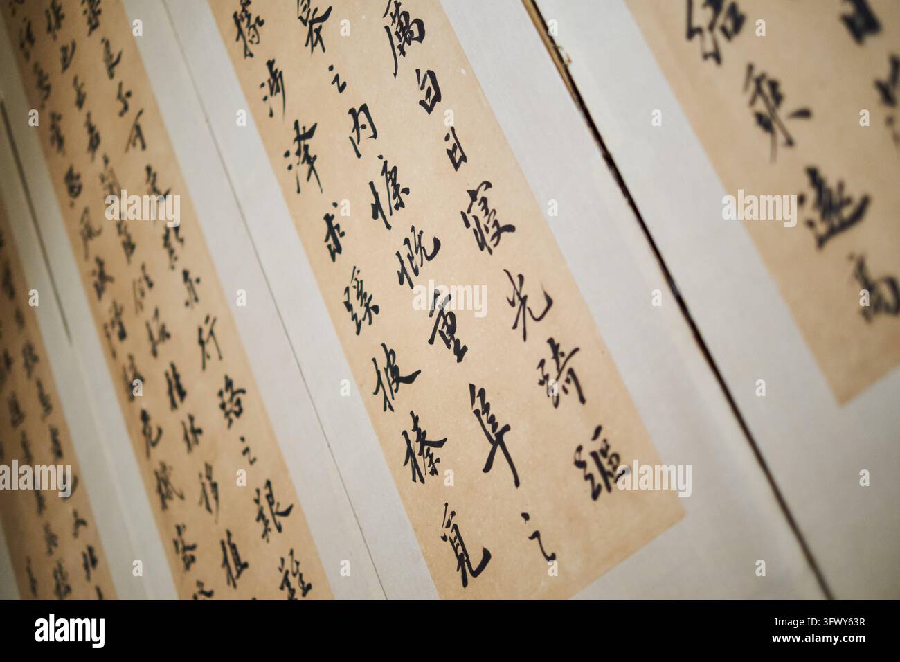 Nahaufnahme von traditionellen chinesischen Kalligrafiezeichen auf Papierschriftrollen. Stockfoto
