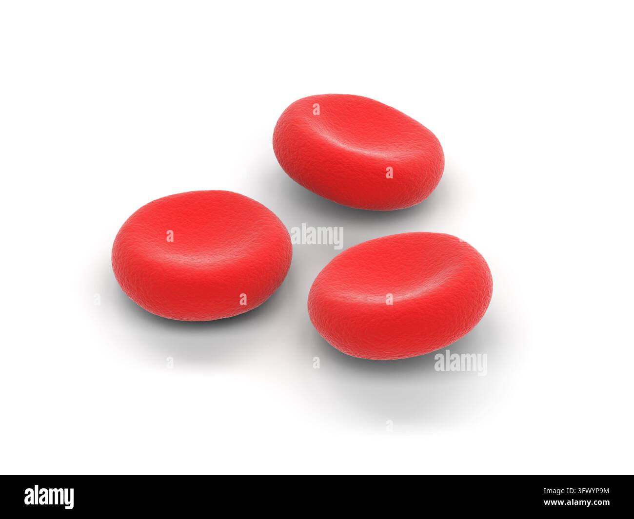 Rote Blutkörperchen auf weißem Hintergrund. 3D-Illustration. Stockfoto