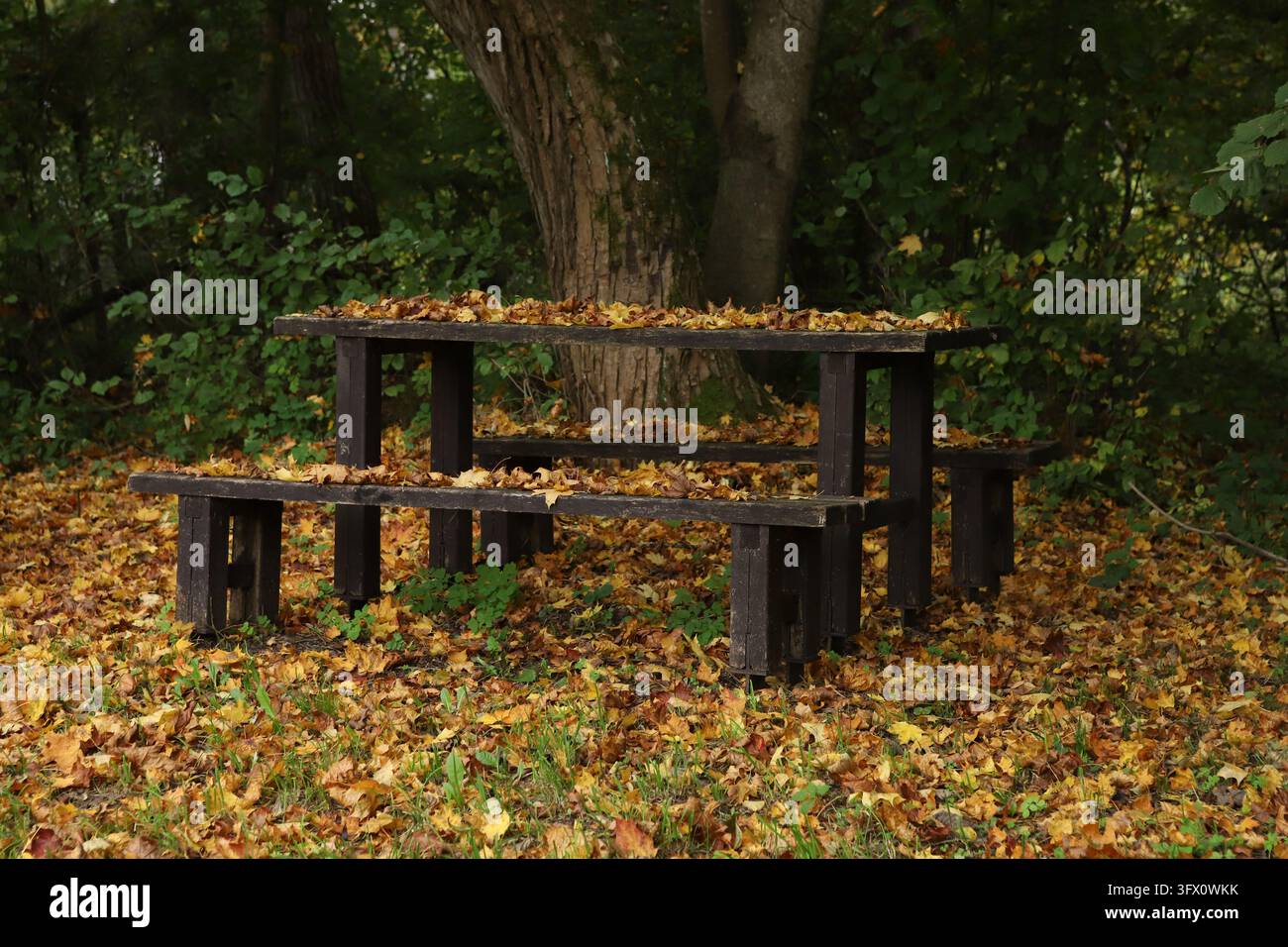 Holzpicknicktisch und Bänke, bedeckt mit Herbstblättern in einem leeren Park. Ruhiger Picknickplatz im Wald, bedeckt mit einem goldenen Teppich aus trockenen Blättern Stockfoto