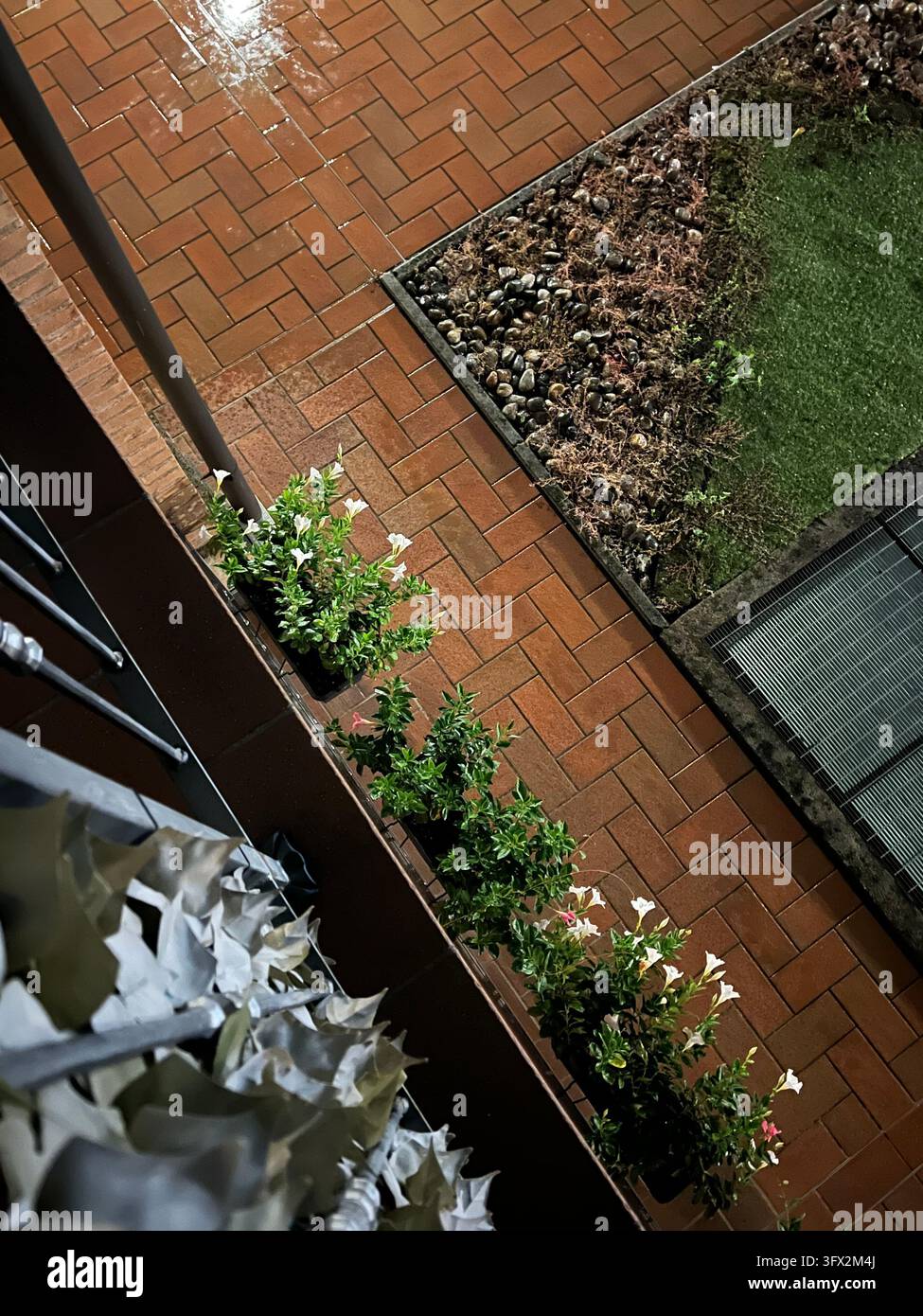 Nachtansicht eines Wohnhofes mit Ziegelpflaster und Topfpflanzen in Italien - Smartphone-aufgenommenes Stockfoto