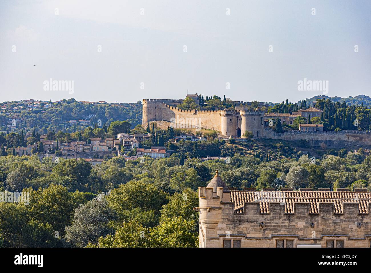 Eine Befestigung steht auf einem Hügel hinter Häusern und Bäumen in Avignon, Frankreich. Ein zinnenbesetztes Gebäude nimmt den Vordergrund unter einem weiten Himmel ein. Stockfoto