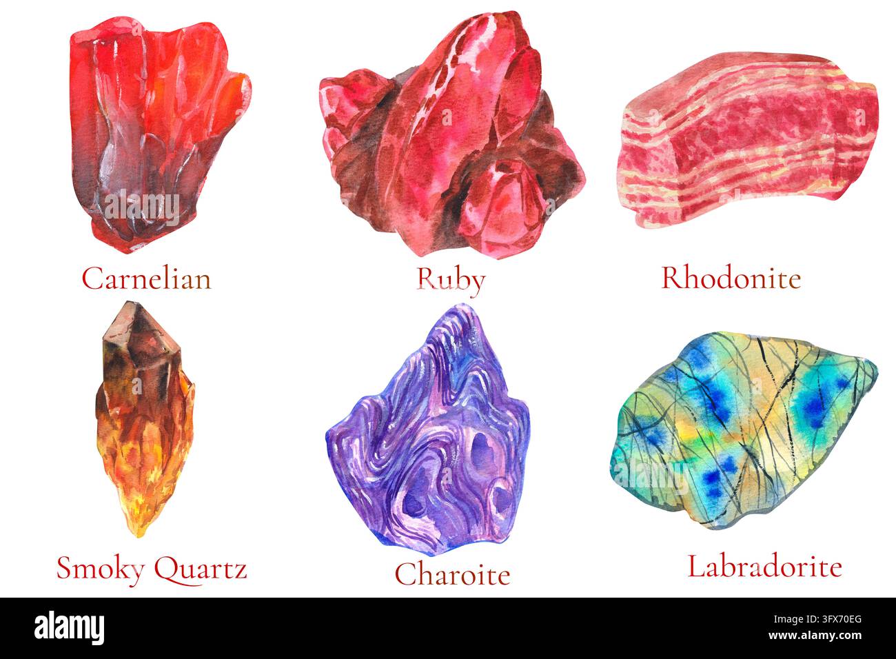 Aquarellset mit sechs beschrifteten Steinen, Karneol, Rubin, Rhodonit, Rauchquarz, Charoit und Labradorit. Ideal für Geologiekurse, Mineralposter Stockfoto
