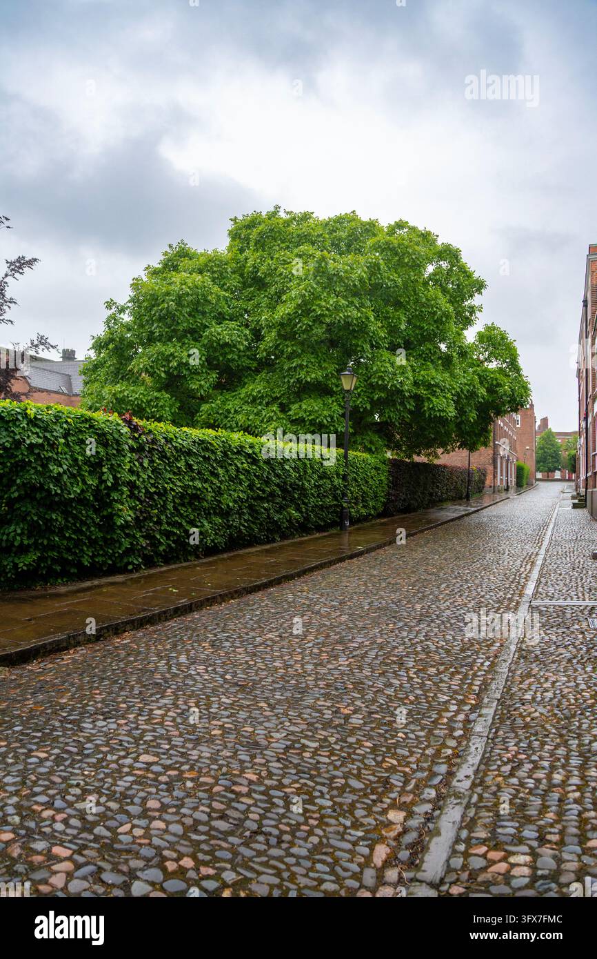 Ein regnerischer Tag in Chester, England, mit nassen Kopfsteinpflastern, die glitzern Stockfoto