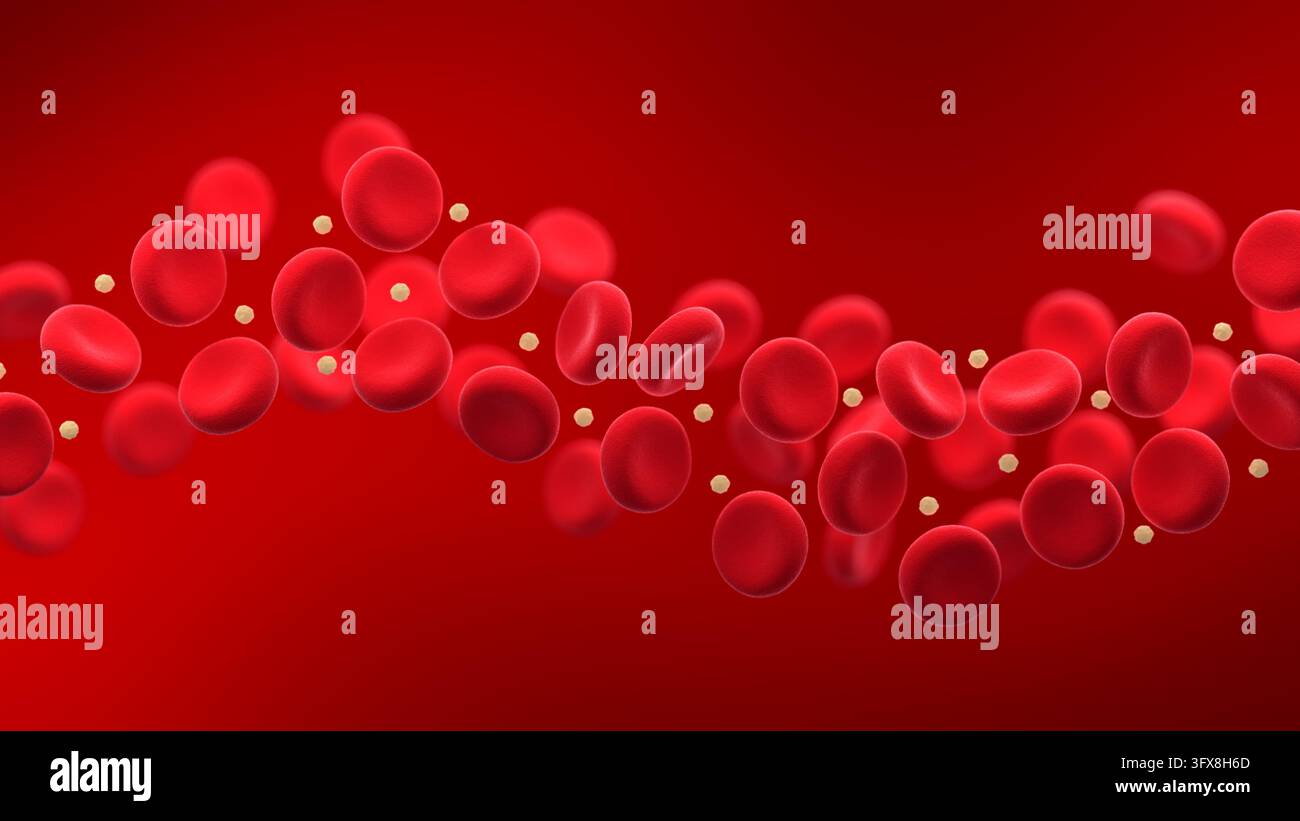 Rote Blutkörperchen und Cholesterin. 3D-Illustration. Stockfoto