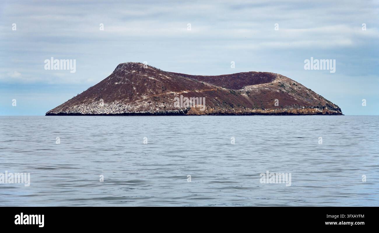 Die unbewohnte Daphne Mayor-Insel der Galápagos-Inseln im Pazifischen Ozean Stockfoto
