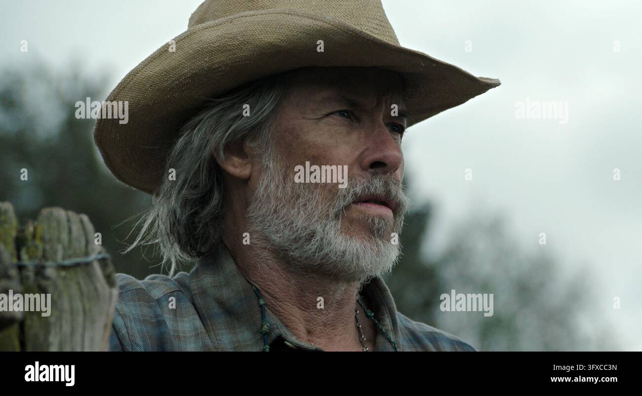 Die Hundesterne  Guy Pearce Stockfoto