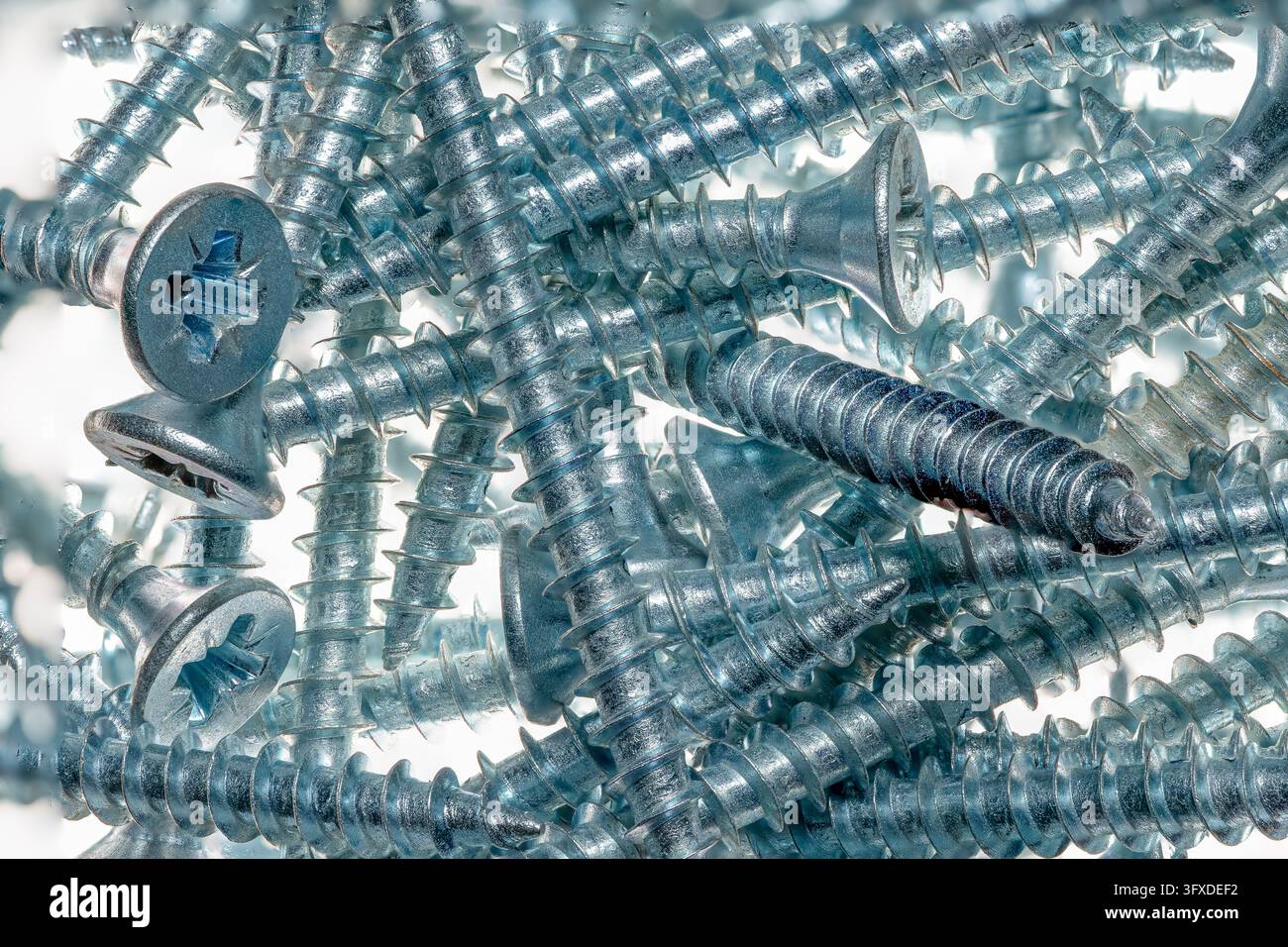 Metallschrauben mit Kreuzköpfen, die zusammengeclustert sind mit selektiver Schärfentiefe. Stockfoto