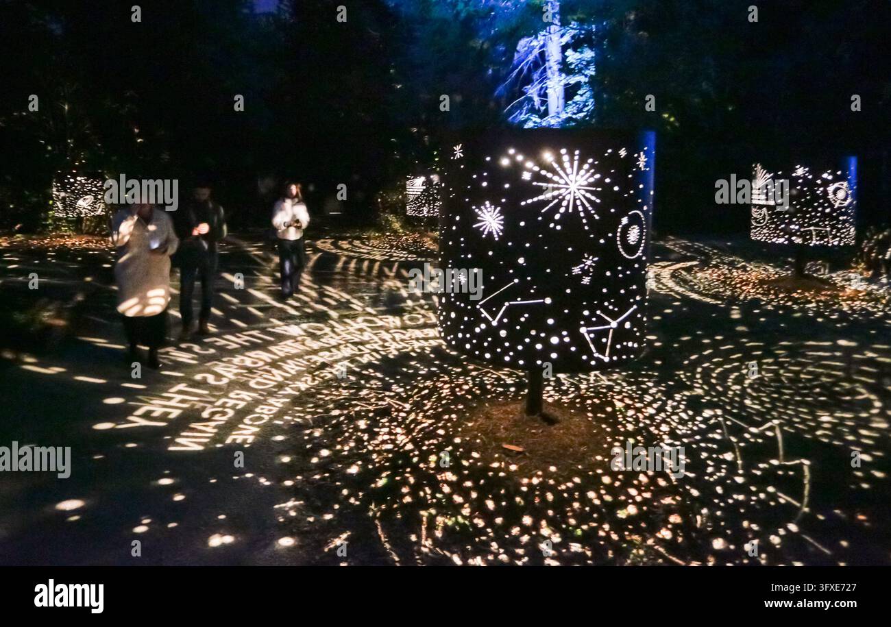 Peking, Kanada. 21. Oktober 2026. Besucher betrachten beleuchtete Installationen während einer Vorschau von Astra Lumina im Stanley Park in Vancouver, British Columbia, Kanada, am 21. Oktober 2026. Astra Lumina, ein immersiver nächtlicher Outdoor-Spaziergang, findet vom 22. Oktober bis zum 31. Dezember statt. Der etwa 1,6-Kilometer-Pfad bietet neun Themenzonen, in denen farbenfrohe Lichtinstallationen, Projektionen und Klangerlebnisse den Wald in ein sterneninspiriertes nächtliches Erlebnis verwandeln. Credit: Liang Sen/Xinhua/Alamy Live News Stockfoto