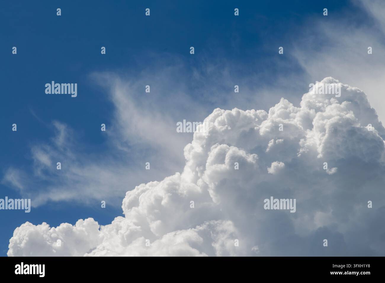 Eine auffällige Komposition aus dicken weißen Kumuluswolken rechts neben zarten, faserigen Zirruswolken. Stockfoto