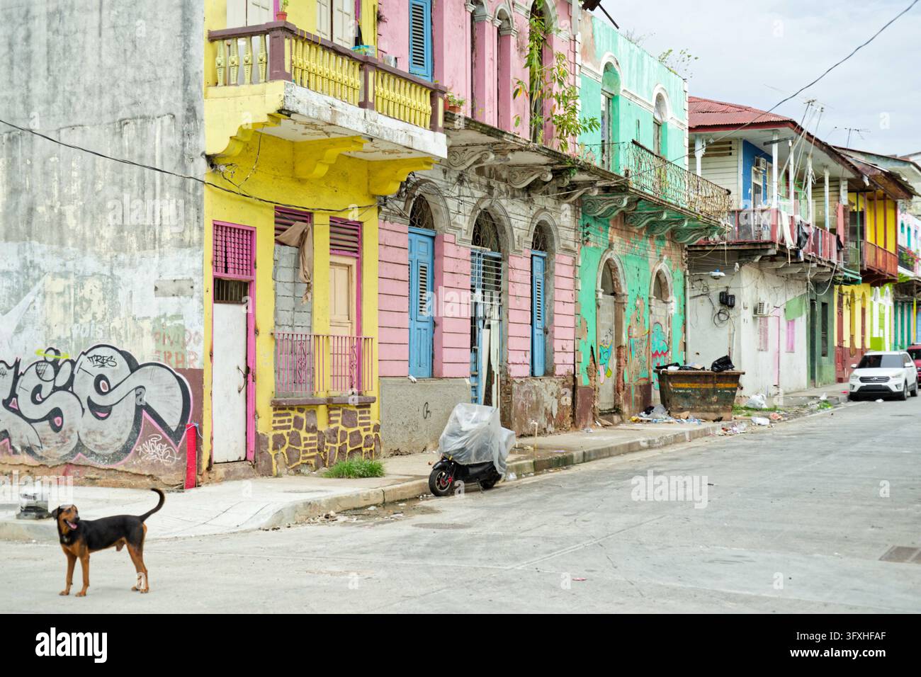 Straßenszene in Panama-Stadt an der Grenze zwischen dem historischen Viertel Casco Viejo und El Chorrillo, mit farbenfrohen, aber verfallenen Kolonialfassaden und einem Hund. Stockfoto