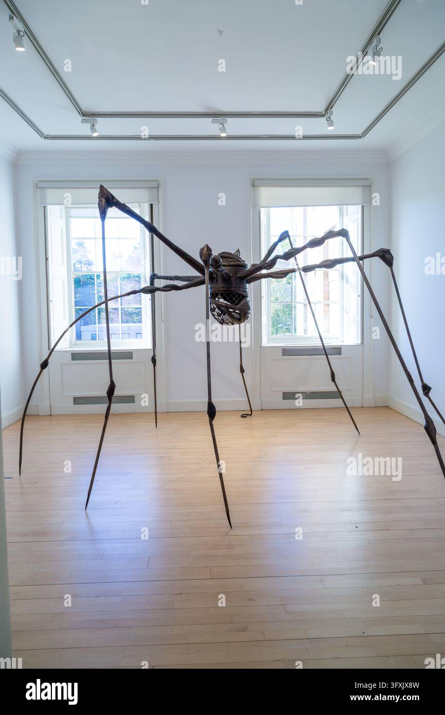 Riesige Spinnenskulptur von Louise Bourgeois, Nationalgalerie der Modernen Kunst, Edinburgh, Schottland Stockfoto