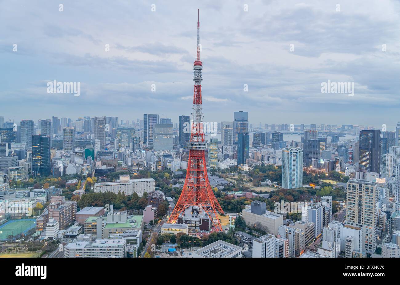 Luftbild des roten und weißen Tokyo Tower, der über einer dichten urbanen Skyline mit umgebenden Gebäuden und Grünflächen unter einem bewölkten Himmel aufragt. Stockfoto
