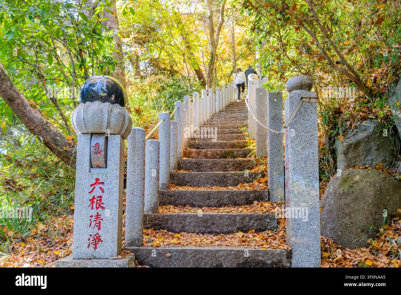 Tokio, Japan, 22. NOV 2024 - Eine steinerne Treppe, gesäumt von Granitpfeilern und roter japanischer Kalligrafie, steigt durch einen Wald mit gefallenen Blättern auf. Stockfoto