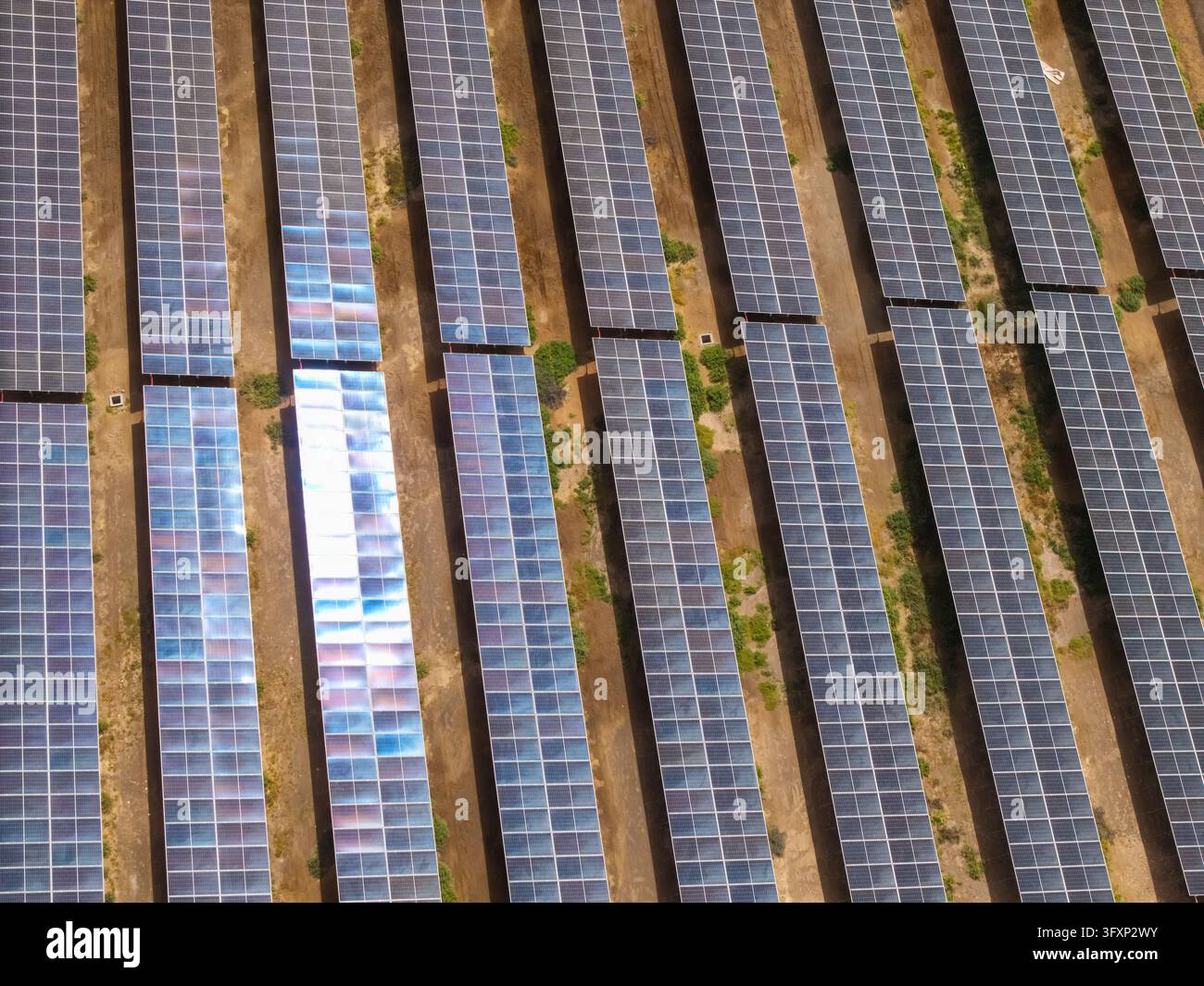 Luftbild von oben über eine Solarzellenanordnung auf Sal Stockfoto