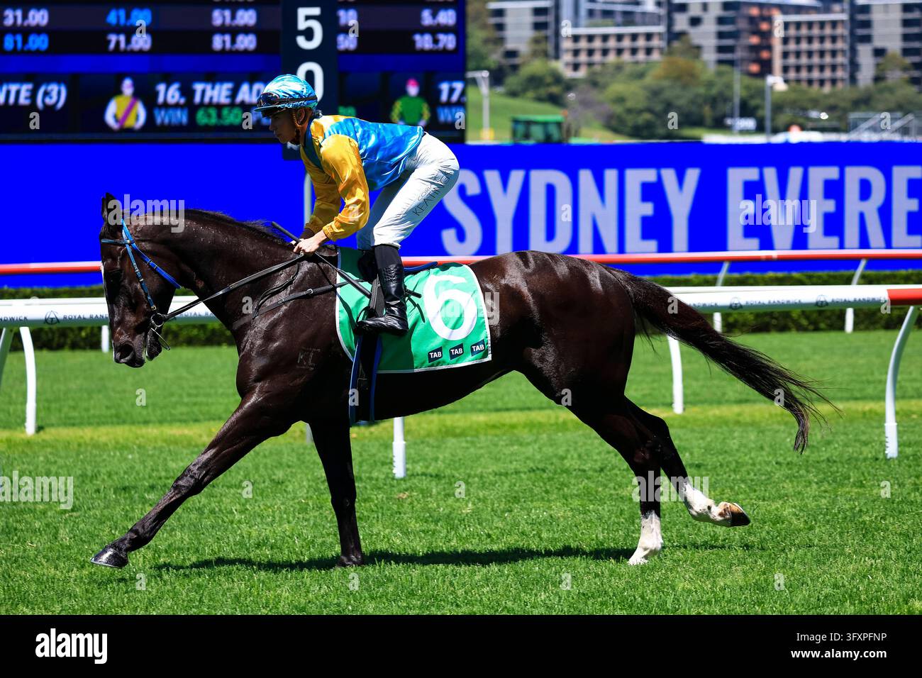 Royal Randwick Rennbahn, Sydney, Australien. 24. Okt., 2026. Pferderennen, Royal Randwick Spring Championship Stakes; Tab Highway Handicap, Guys Last Prize, trainiert von Michael Sparrow, Jockey, Coriah Keatings trabt zu den Startboxen Credit: Action Plus Sports/Alamy Live News Stockfoto