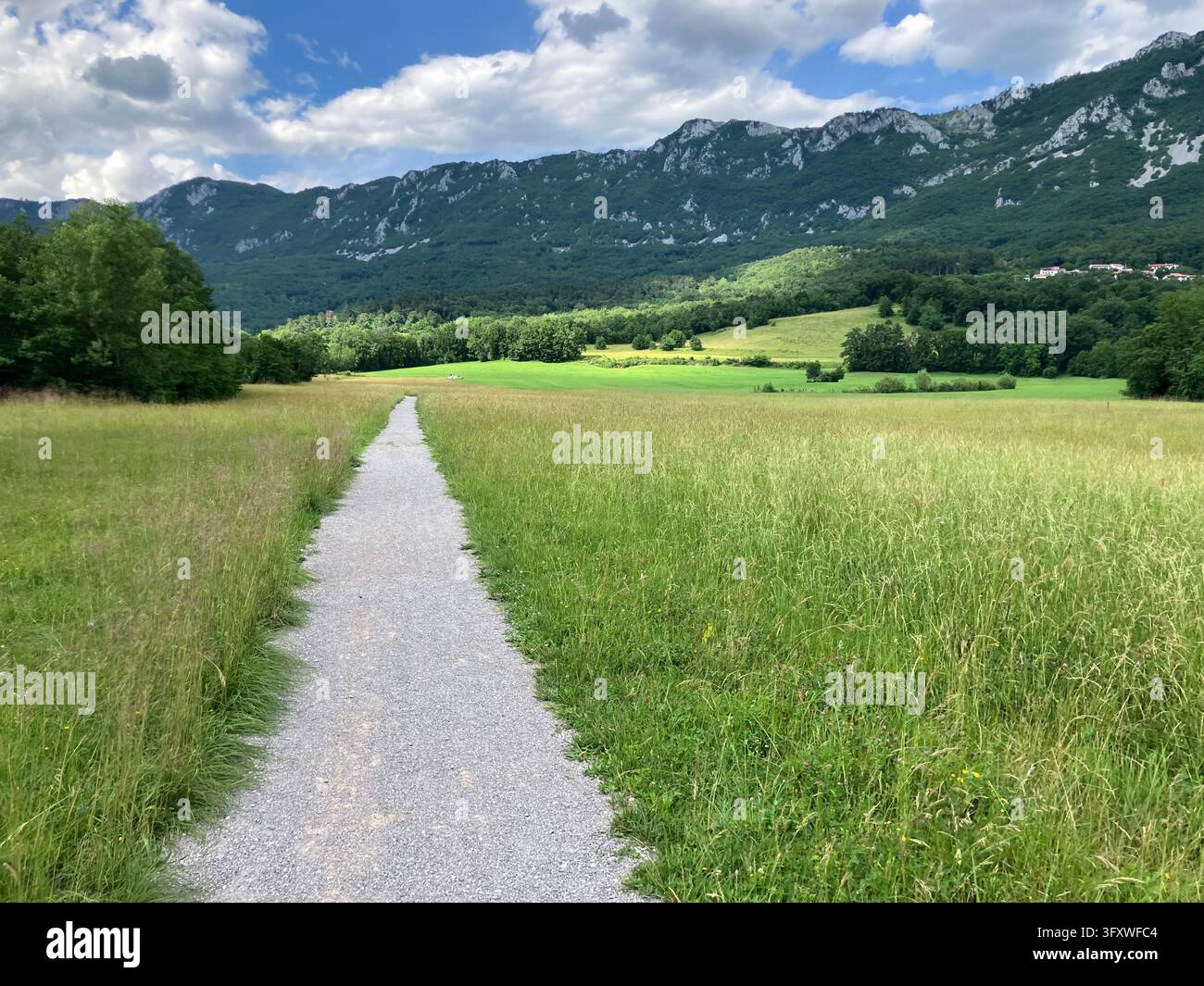 Ein Kiesweg schneidet sich durch eine grüne Wiese und führt in Richtung des Čaven-Bergrückens im Vipava-Tal, Slowenien. Stockfoto