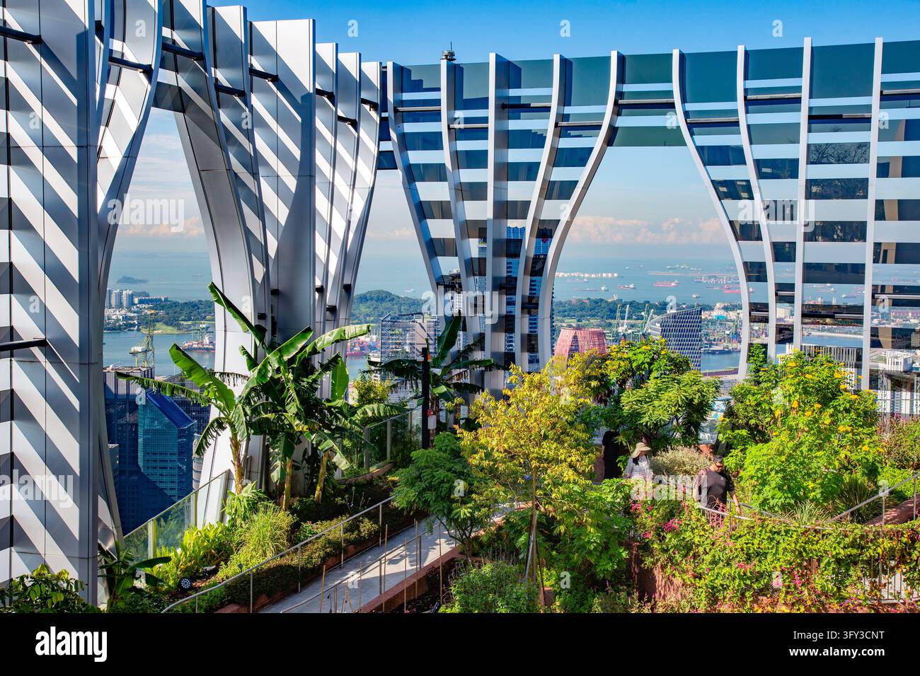 Sky Garden im CapitaSpring mit spektakulärem Stadtblick, Singapur Stockfoto