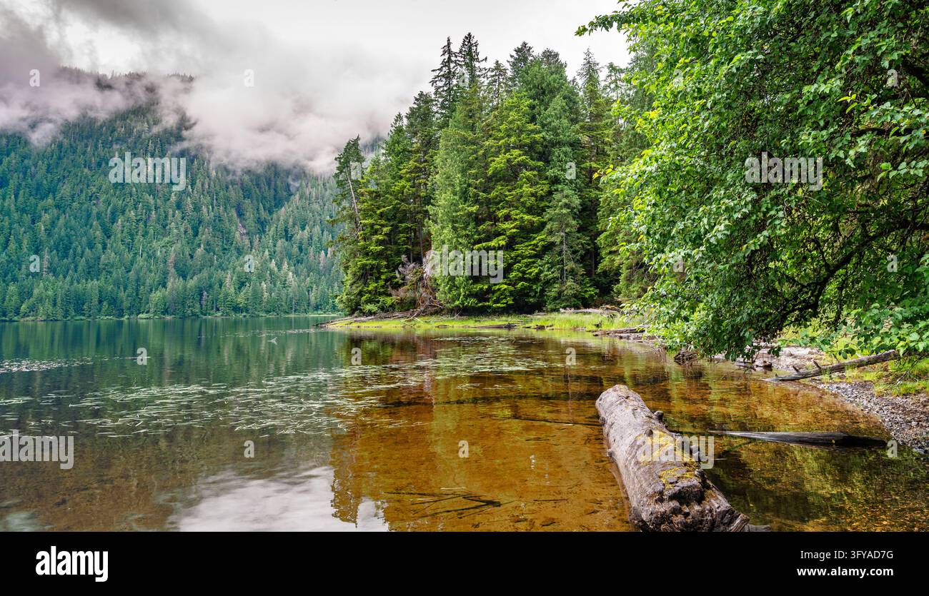 Ruiges See im Tongass-Nationalforst in Alaska mit immergrünen Bäumen Stockfoto