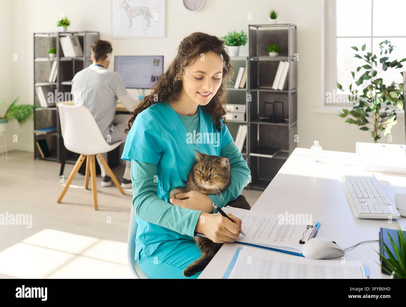 Tierarzthelferin unterzeichnet Papierkram mit Katze auf dem Schoß in einem modernen Klinikbüro Stockfoto