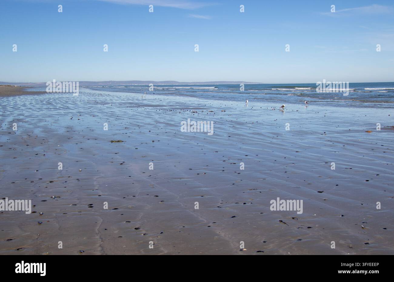 Bild vom Strand von St Helena Bay bei Niedrigwasser für den Hintergrundeinsatz Stockfoto