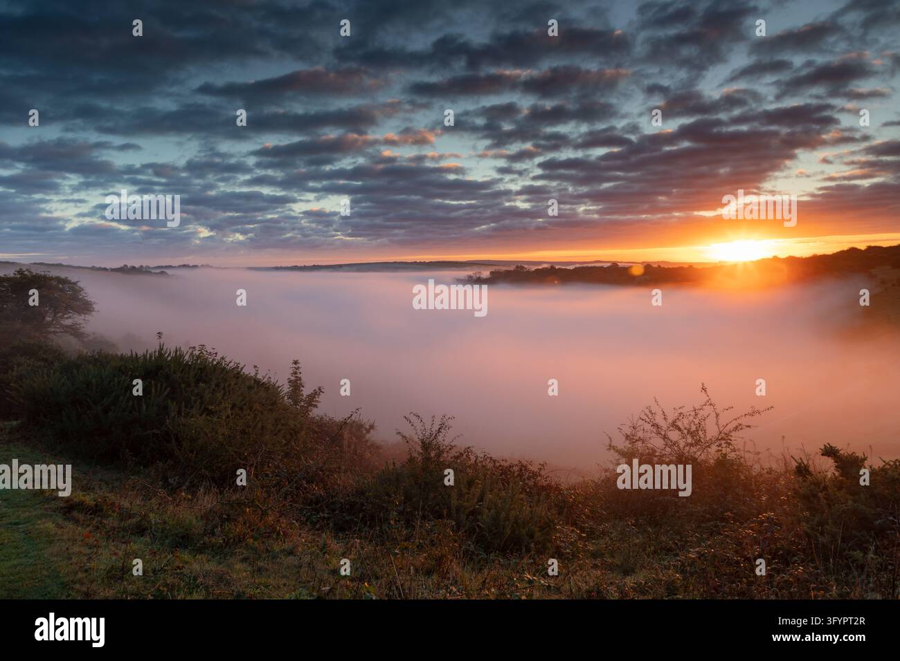 Sonnenaufgang am Devil's Dyke im South Downs National Park, West Sussex. Stockfoto