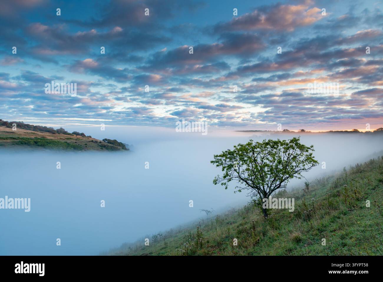 Sonnenaufgang am Devil's Dyke, South Downs National Park, West Sussex. Stockfoto