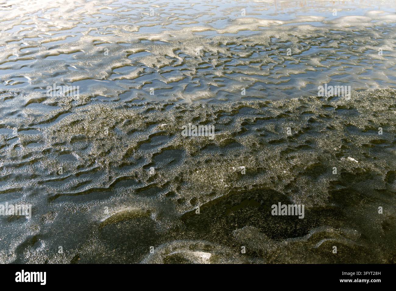 Detaillierte Perspektive einer holprigen, tauenden Eisoberfläche mit Schmelzwasserpfützen, die im hellen Frühlingssonnenlicht glitzern. Stockfoto