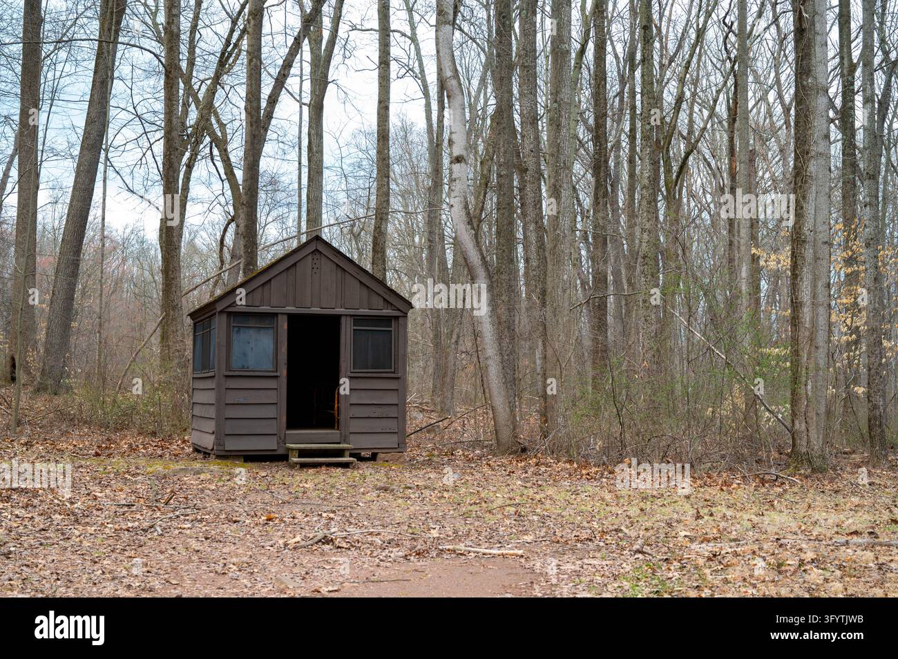 Solitude-Urlaubsent retreat, rustikale alte Holzjagdhütte im Wald, gefallene Blätter und hohe Bäume, ruhige Naturreise-Wochenendauszeit. Stockfoto